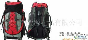 专业定制GY-1004登山包 福建户外装备的品牌与外贸定制进化